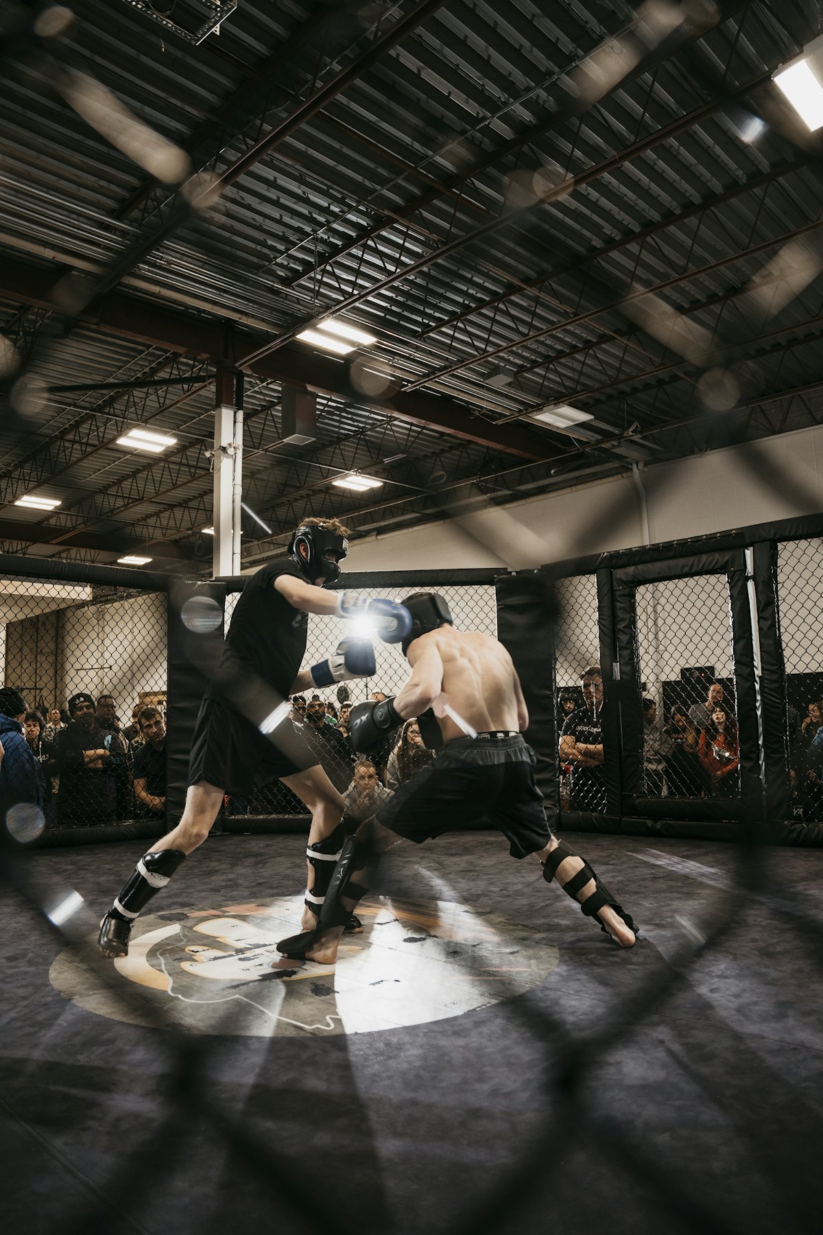 Combats MMA dans une cage